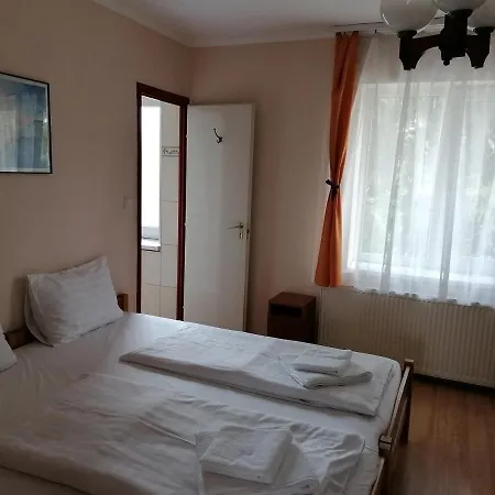 Hullám *